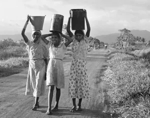 Rural Prints: Three East Indian women carrying water back to the workers in the sugar fields of