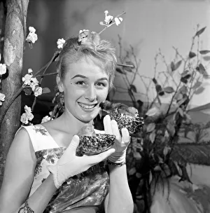 Easter: Girl and Chick. 20 year old Christine Stone, Idenbury Bristol is a window dresser