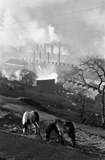 Face Of Britain Prints: Ebbw Vale, Wales. Horses graze on the hillside with the British Steelworks of Ebbw Vale