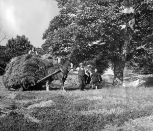 Core53 Prints: Echoes of a slower way of life on the farm. This picture was taken in September 1950