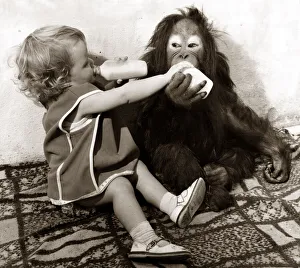 00001 Prints: Eighteen month old Tracey Claws lives among the animals in the zoo at Southam near