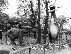 The elephant shoots out her trunk and trumpets a challenge which is a pretty brave thing