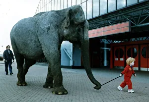 Elephant Prints: Elephant small child takes elephant Janey for a walk at SECC circa 1989