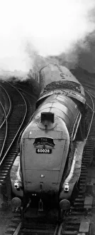The Elizabethan travelling through Newcastle Central Station non-stop on 30th June 1953