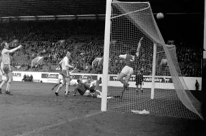 English League Division match at Hillsborough Sheffield Wednesday 1 v Chelsea 3
