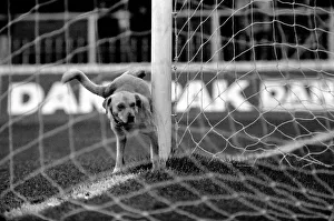 English League Division One match at Maine Road Manchester City 1 v Brighton