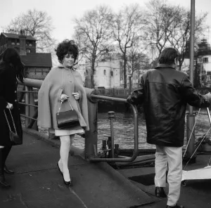 Enjoying a rather expensive quarantine, the dogs of Elizabeth Taylor