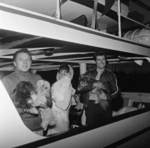 Enjoying a rather expensive quarantine, the dogs of Elizabeth Taylor