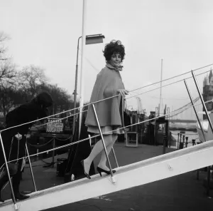 Enjoying a rather expensive quarantine, the dogs of Elizabeth Taylor
