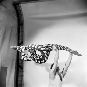 Entertainment Contortionist. Make no mistake about this girl - shes a twister