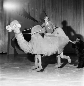 Entertainment: Sinbad on ice: Norman Wisdom seated on camel with George Knowlee playing