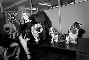 Entertainment Television: Today Thames Television were auditioning for a girl