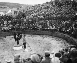 00407 Prints: Entertainment for the troops. The circus that has been inaugurated for the amusement of