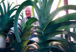 Ernie Lightfoot chairman of the National Pot Leek Society with his prize leeks in October