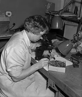 Esterbrook Pen Factory 21st November 1967 Pen nibs being modified following quality