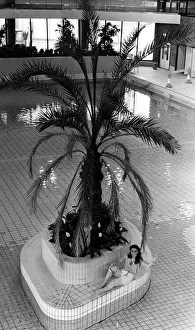 Swimming Pool Prints: The European date palm tree, in the leisure pool of the new Newport Centre, Kingsway