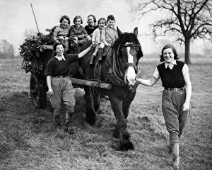 Evacuees from a heavily blitzed town have found a peaceful haven on a famous Warwickshire