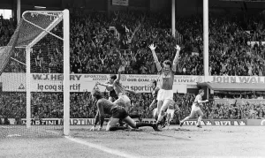01045 Prints: Everton clinched the league title for the eighth time in their history with a 2-0 win