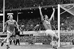 Everton clinched the league title for the eighth time in their history with a 2-0 win