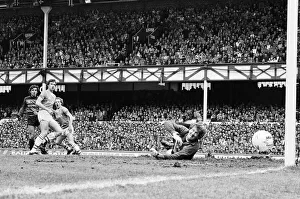 Everton clinched the league title for the eighth time in their history with a 2-0 win
