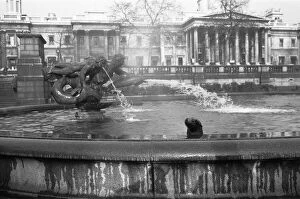 00945 Collection: It was exactly 11. 50am on a cold bright morning at Trafalgar Square when four 8 year old