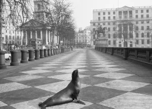 00945 Prints: It was exactly 11. 50am on a cold bright morning at Trafalgar Square when four 8 year old