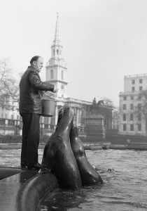 00945 Prints: It was exactly 11. 50am on a cold bright morning at Trafalgar Square when four 8 year old