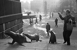 00945 Prints: It was exactly 11. 50am on a cold bright morning at Trafalgar Square when four 8 year old