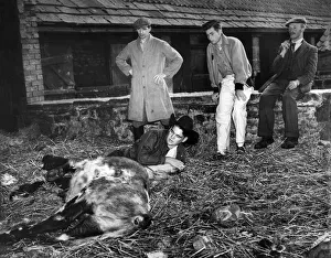 Young Farmer Prints: On an exchange visit to Britain arranged by the Young Farmers Federation two of