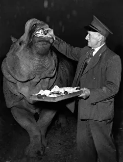 Zoo Keeper Prints: Exucuse me talking while I m eating, but I love apples and tomatoes