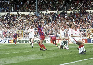 00493 Prints: FA Cup Final at Wembley Stadium. Crystal Palace 3 v Manchester United 3