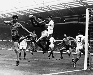 FA Cup Final at Wembley Stadium. West Bromwich Albion 1 v Everton 0