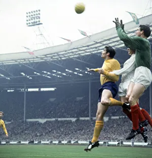 FA Cup Final, at Wembley Stadium, West Bromwich Albion 1 v Everton 0