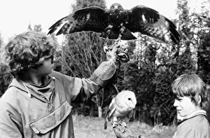 Images Dated 11th March 1985: Fabian and Oliver Smith with their birds 1985 Buzzard and Barn Owl
