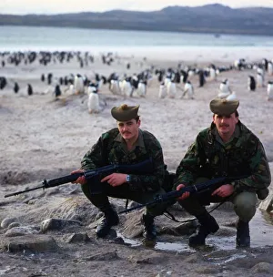 Falklands Prints: Falklands War 1982 Scottish soldiers who form part of the garrison left to gaurd