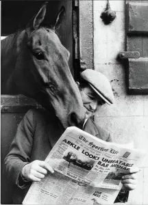 famous racehorse arkle looking shoulder head lad paddy murray reading