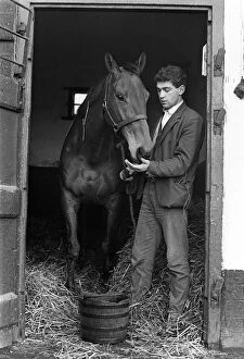 00097 Collection: Famous racehorse Arkle with stable boy at the stables of Tom Dreaper