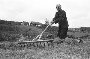 Farmer Prints: Farmer gathering in the hay in the hills and fields over looking the County Donegal