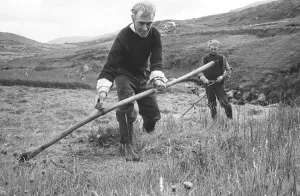 Harvest Prints: Farmers gathering in the hay in the hills and fields over looking the County Donegal
