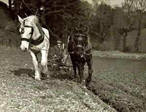 Farmer Prints: Farming - farmer ploughing his field with Horses circa 1935