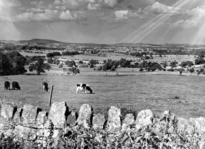 00076 Prints: The farmlands and distant hills around Lorbottle Steads help to make this a beautiful