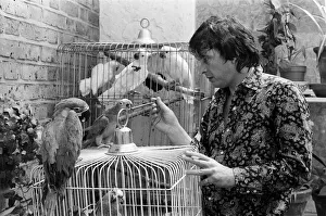 Fashion photographer David Bailey pictured at home with some of his 40 parrots
