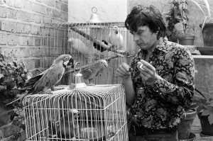 Fashion photographer David Bailey pictured at home with some of his 40 parrots
