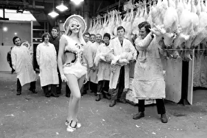 Turkeys Prints: Fashions of the 11th Annual Poultry Feather Hat Competition were being shown at the CafAoe