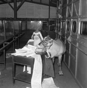 List Prints: Father Christmas seen here reviewing his list of good and bad boys