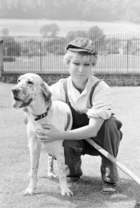 Dungarees Prints: Felicity Kendal dressed as a gardener with a dog July 1982 whilst filming a new