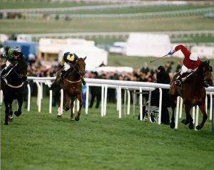 Cheltenham Prints: The Fellow wins the Steeple Chase from Jodami and Young Hustler at Cheltenham Festival