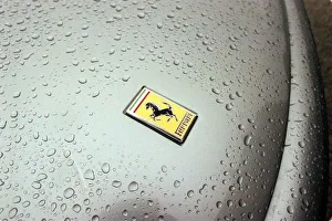 Badges Prints: FERRARI CARS AT GLENEAGLES HOTEL February 1999 550 MARANELLO (SILVER) badge