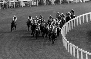 The Field as they take Tattenham Corner, The eventual winner of the Derby was Roberto