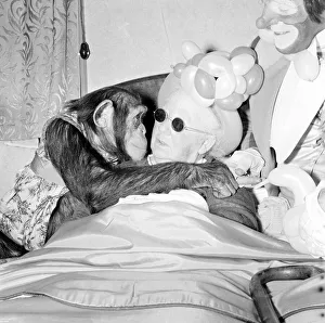 00089 Prints: Fifi the Chimpaneze seen here kissing her owner. September 1956